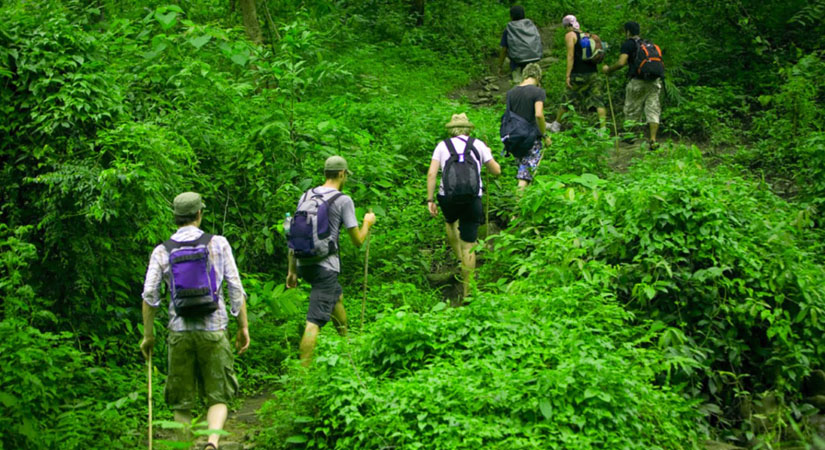 Randonnée-a-Phu-Quoc