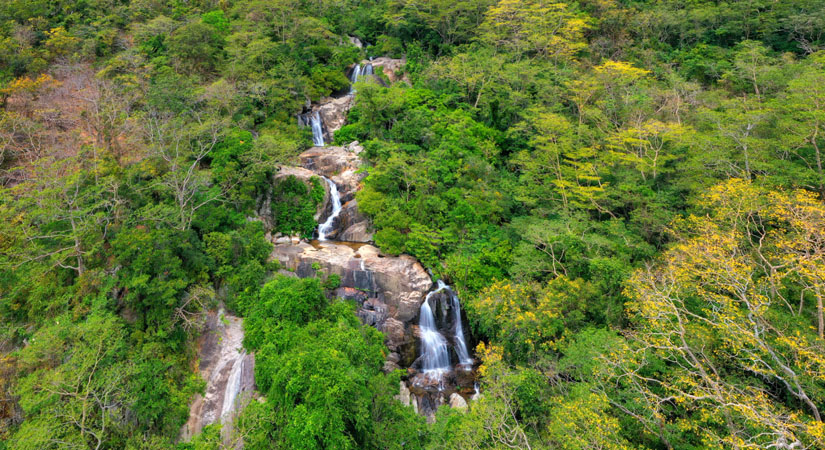 le-parc-national-de-Phu-Quoc