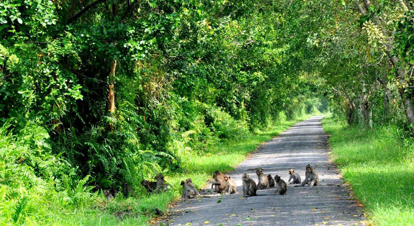 le-parc-national-de-Phu-Quoc
