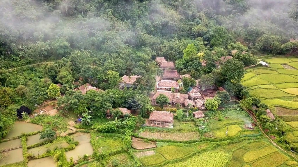 Les-rizieres-jaunes-a-Pu-Luong