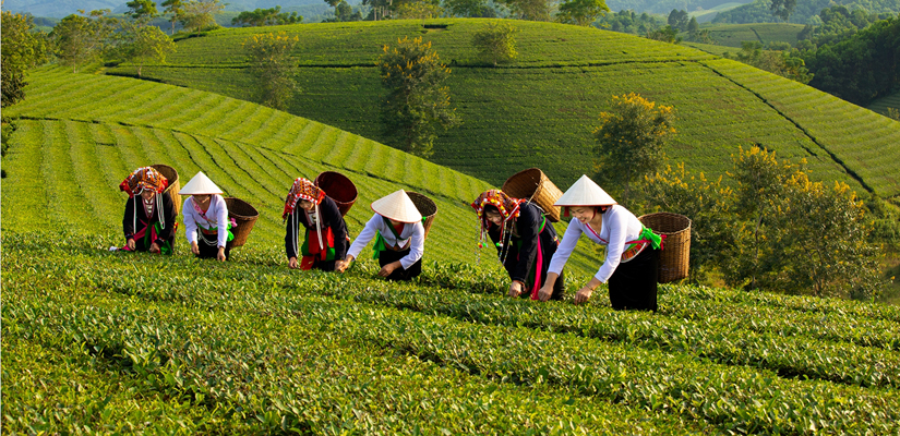 Visiter-le-Vietnam-en-septembre
