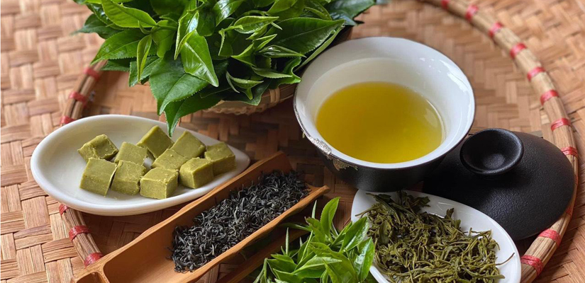 Thé-vert-Vietnamien