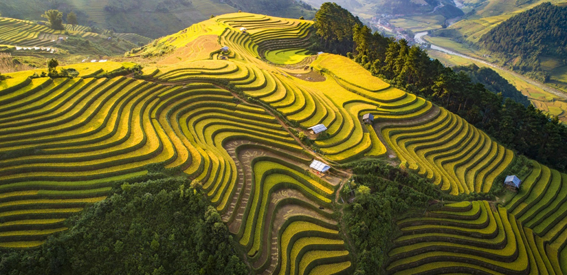 Les-rizieres-en-terrasse-a-Tu-Le
