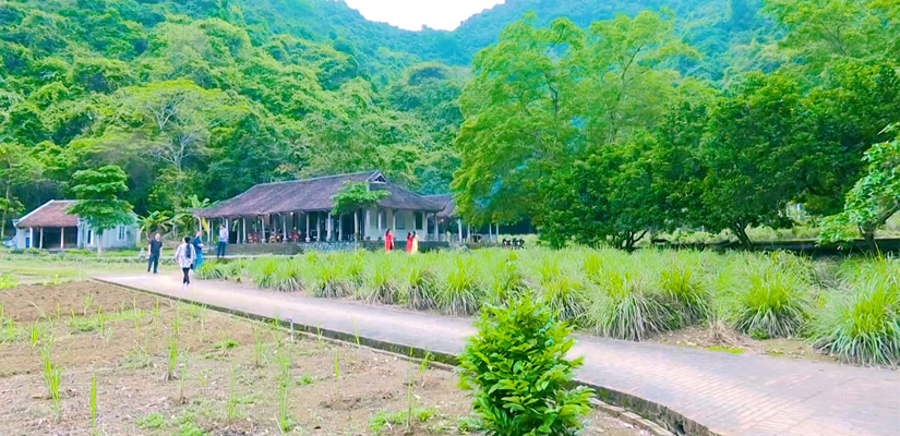 Viet-Hai-Cat-Ba-Hai-Phong