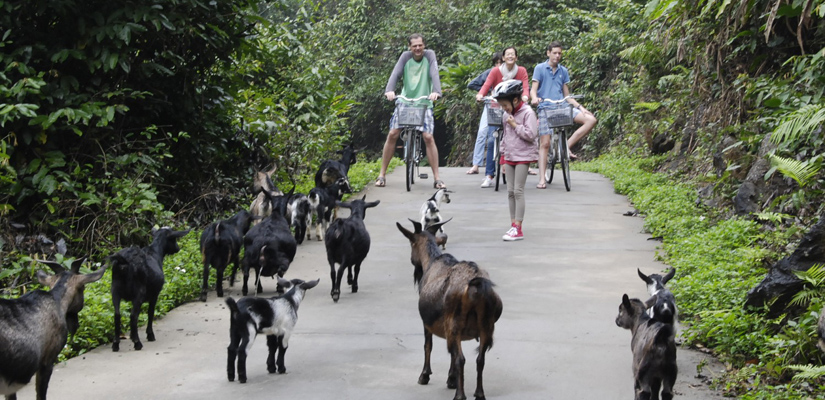 comment-se-rendre-au-village-de-Viet-Hai