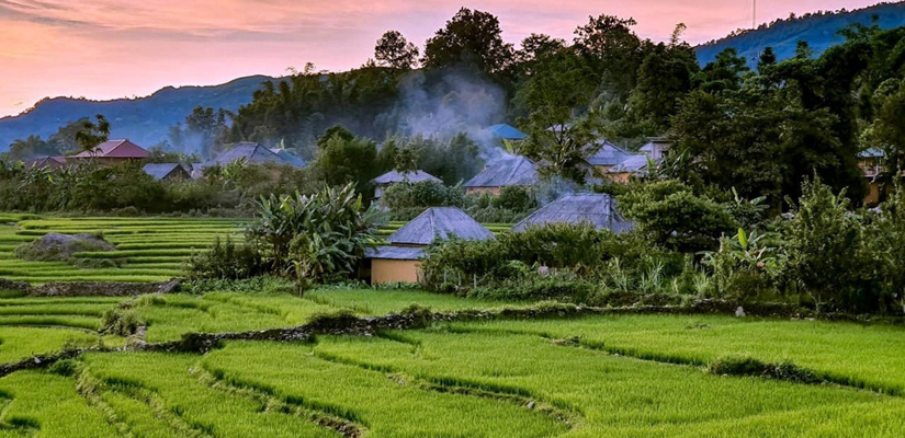 Y-Ty-en-saison-verte