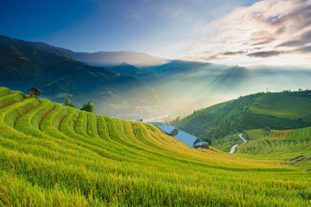 Les-rizieres-a-Lai-Chau