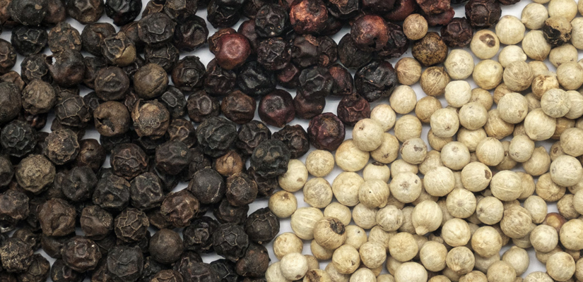 Ou-voir-le-poivre-au-Vietnam