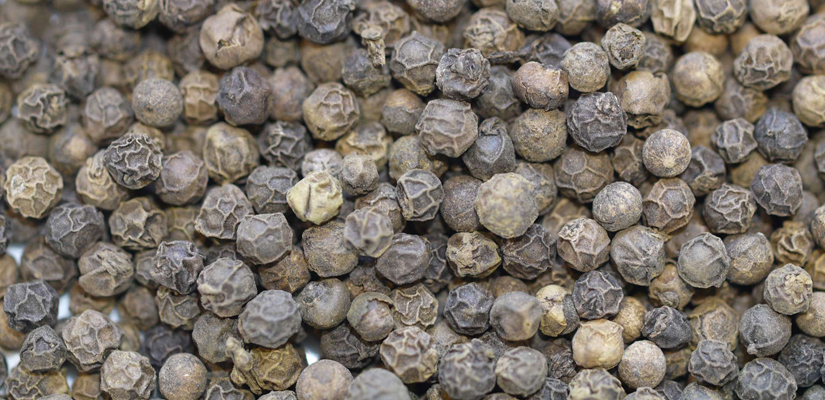 poivre-noir-au-Vietnam