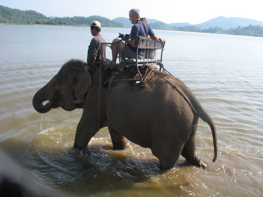 Balade à dos eléphant Tay Nguyen
