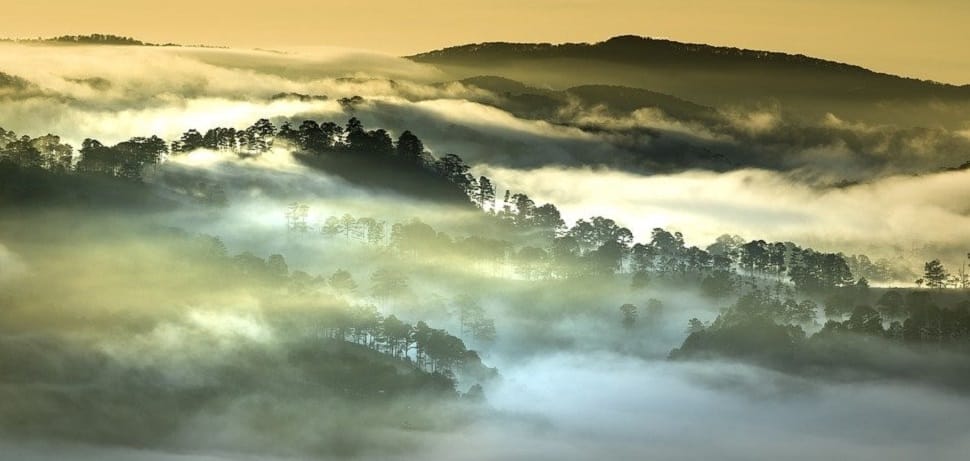 dalat-vietnam