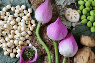 le lotus dans la culture vietnamienne