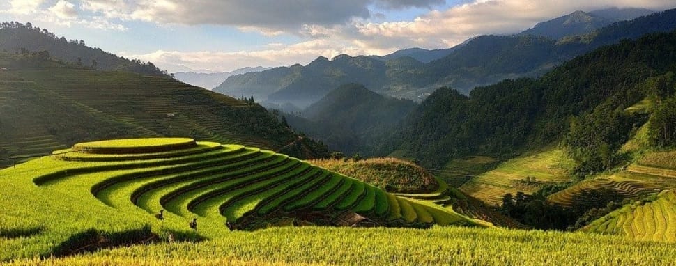 rizieres_nord-vietna
