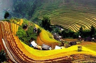 sapa rizieres en terrasse