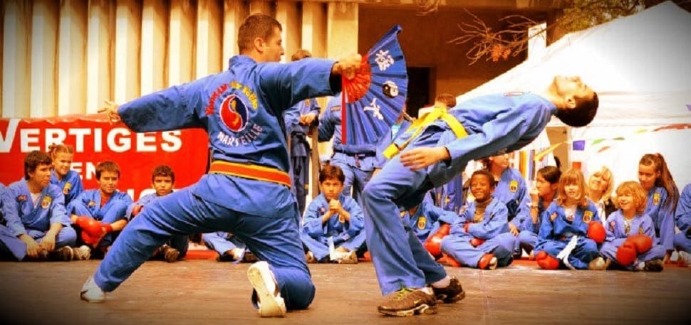 viet-vo-dao