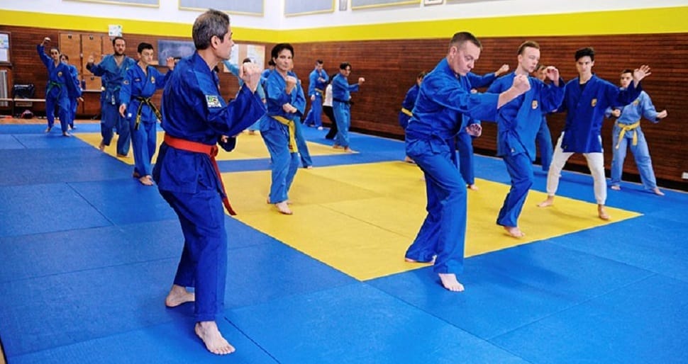 vovinam