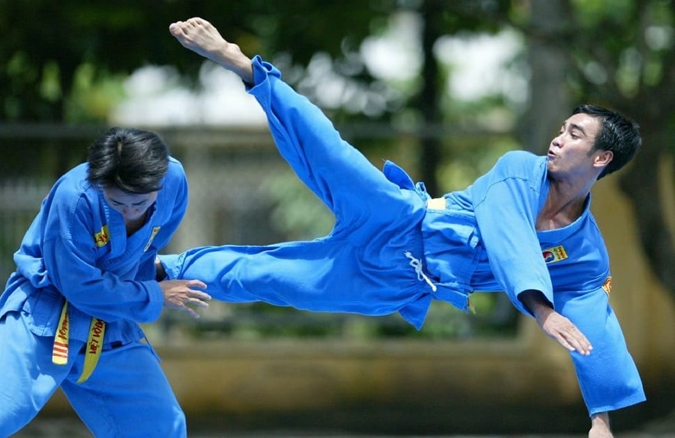 vovinam_viet-vo-dao