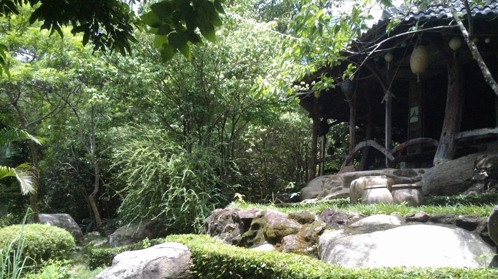 decouvrir_musee_dong-dinh