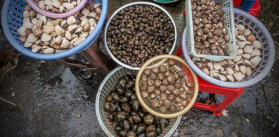 escargots_cuisine-vietnam