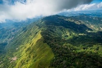 pha-luong