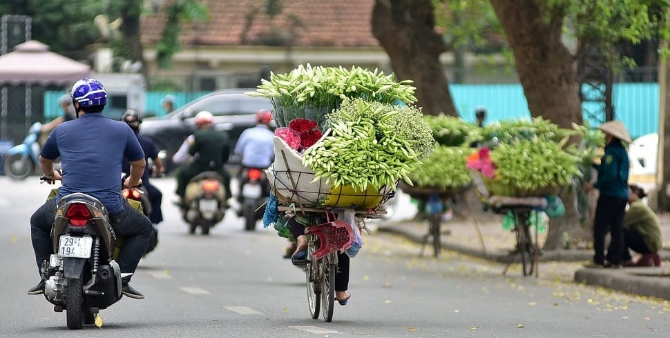 que-visiter-en-avril-au-vietnam