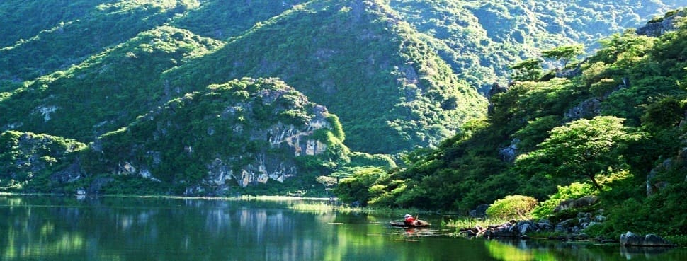 thung-nham