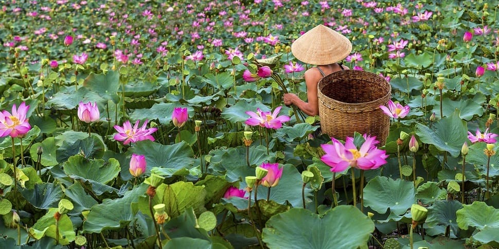 vietnam_tourisme-durable
