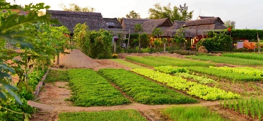 village_maraicher_tra-que