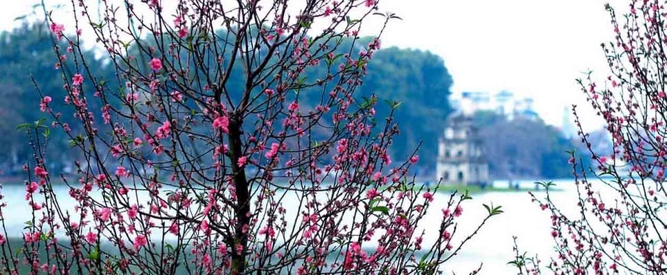 vn-fevrier_hanoi