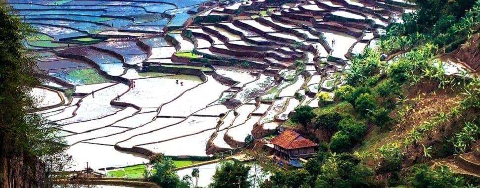 vietnam-mars