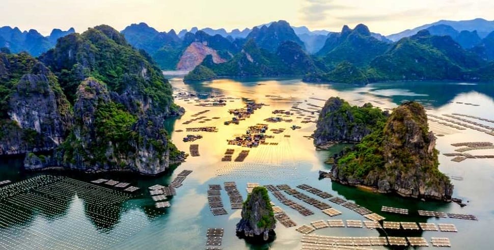 vung-vieng