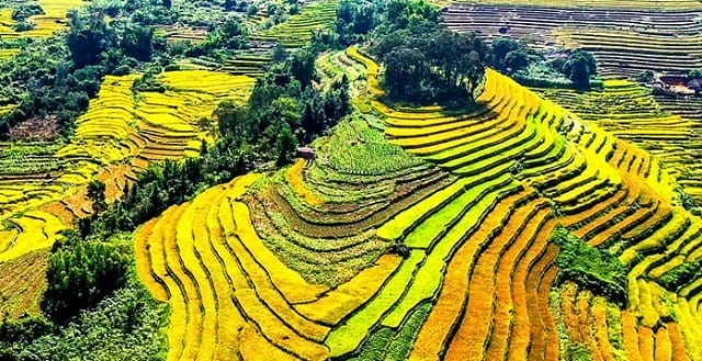binh-lieu