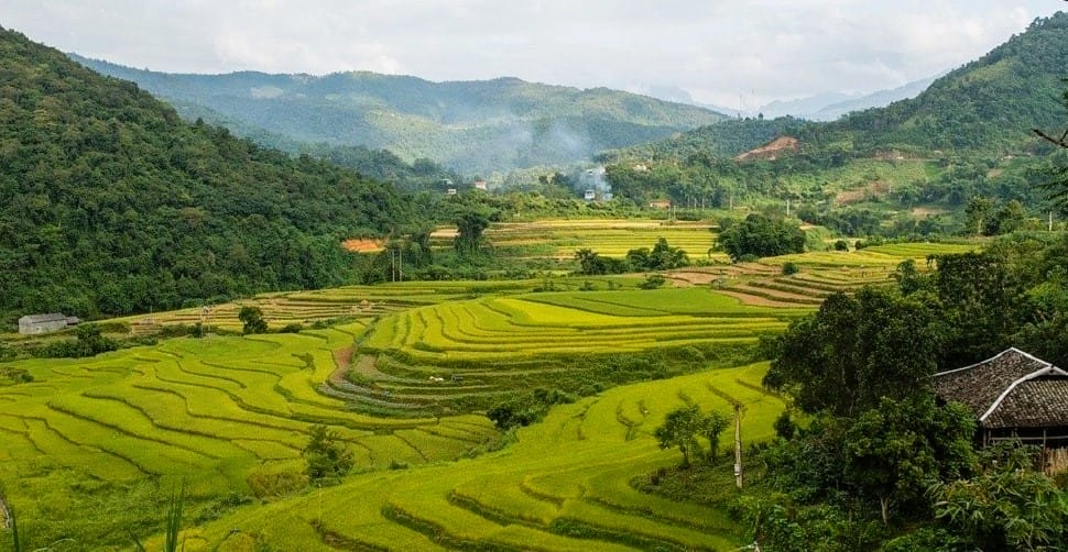 bao-lac
