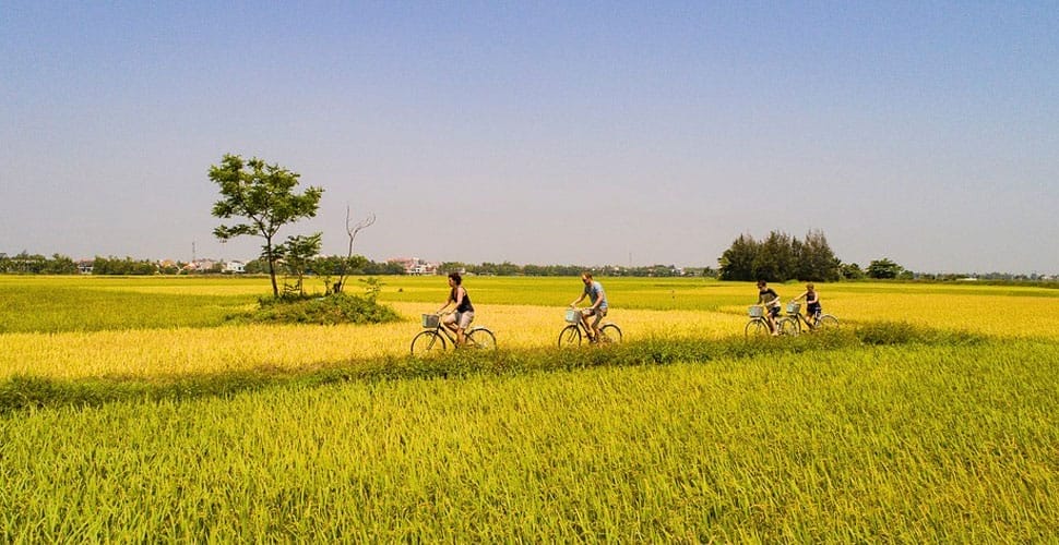 Cyclo-VN