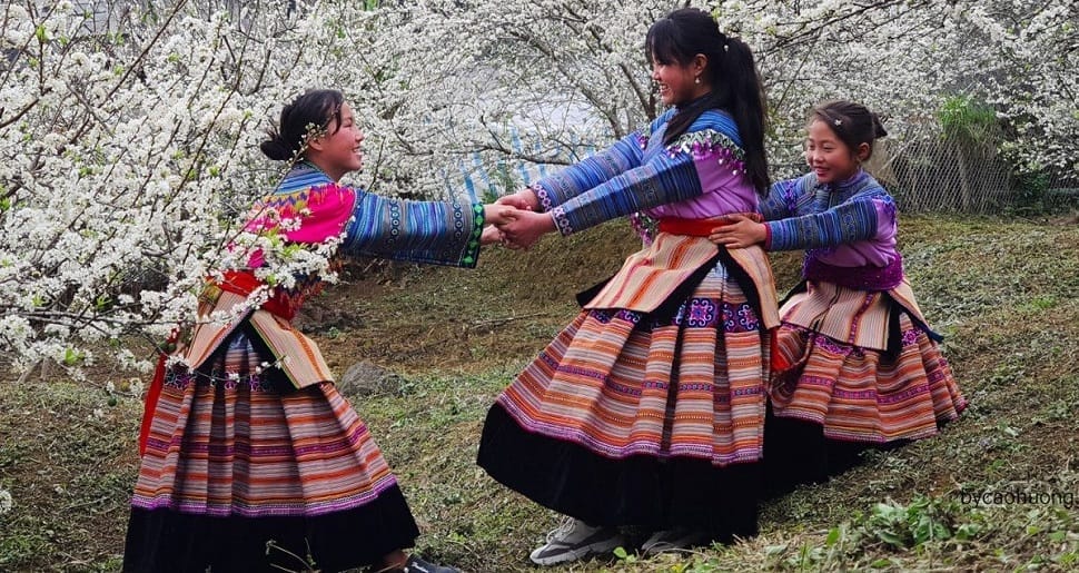 femmes-hmong