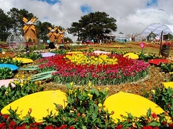 festival-hoa_dalat