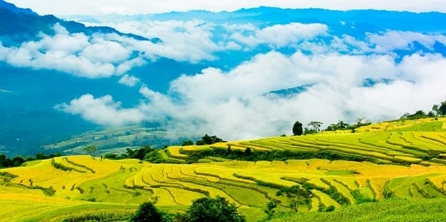 hong-tai