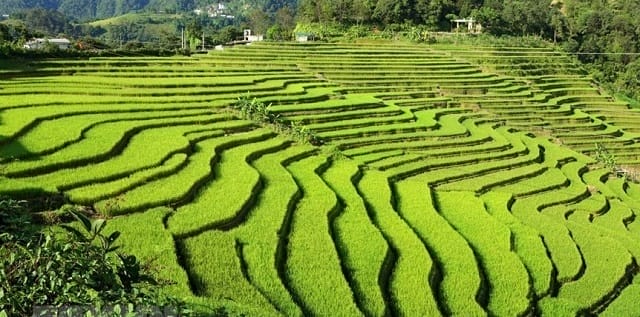 lai-chau
