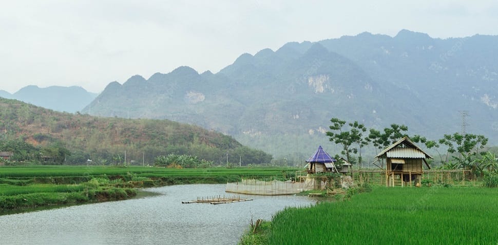 mai chau
