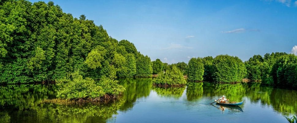 mangrove-ca-mau
