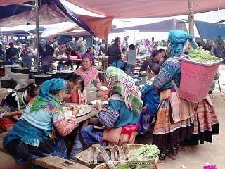 Marche_Co-Ma