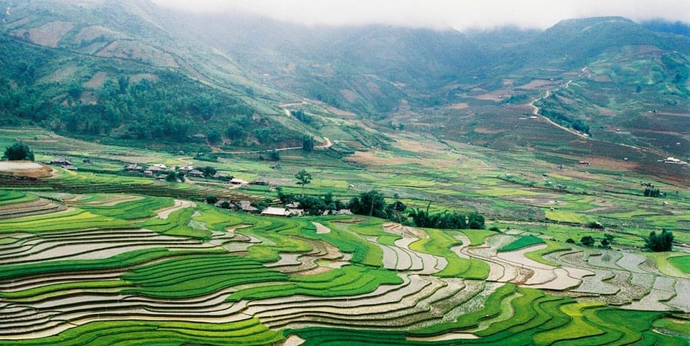 mu-cang-chai