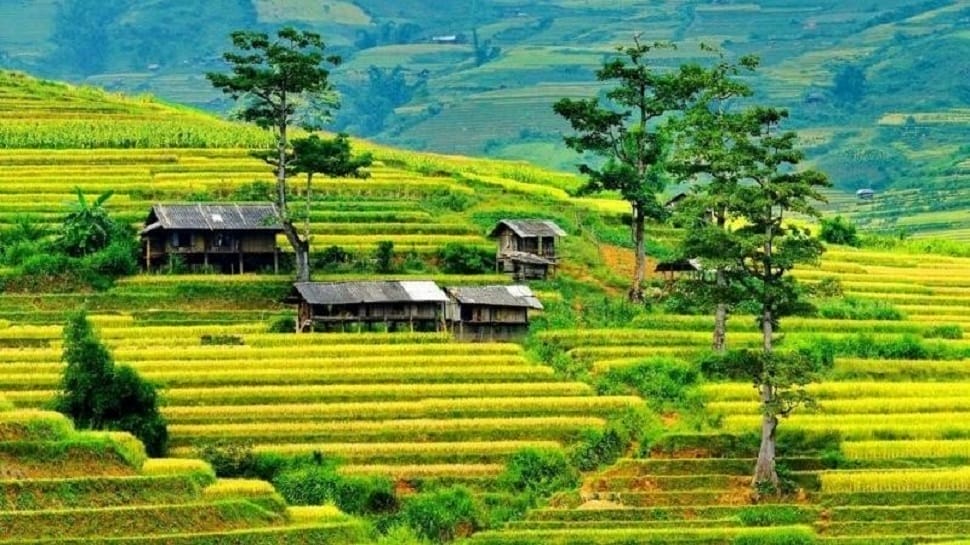 Muong-Lo