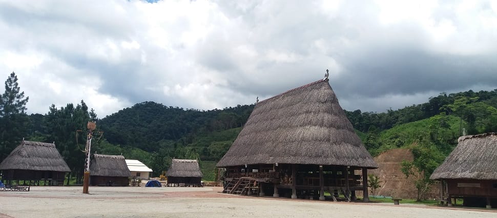 nha-moong