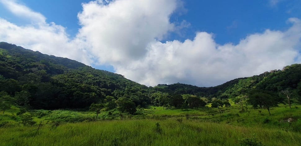 parc_nui-chua
