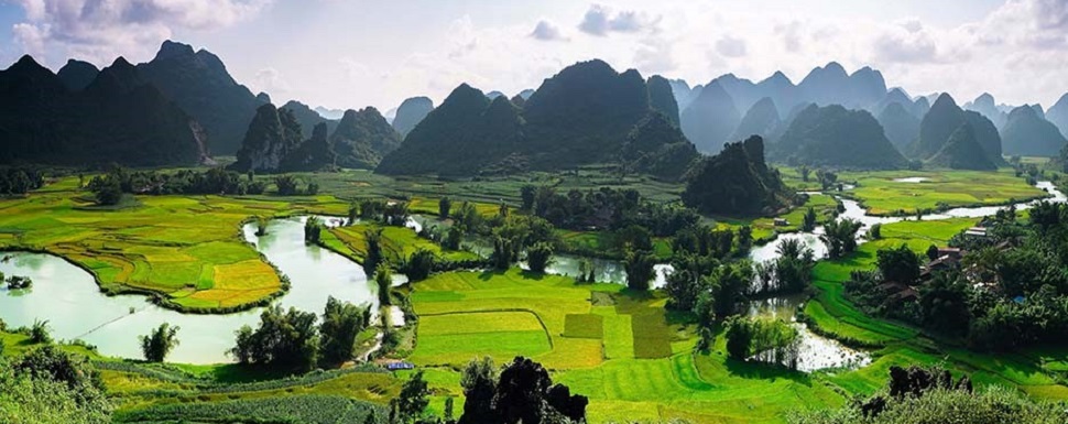 phong-nam