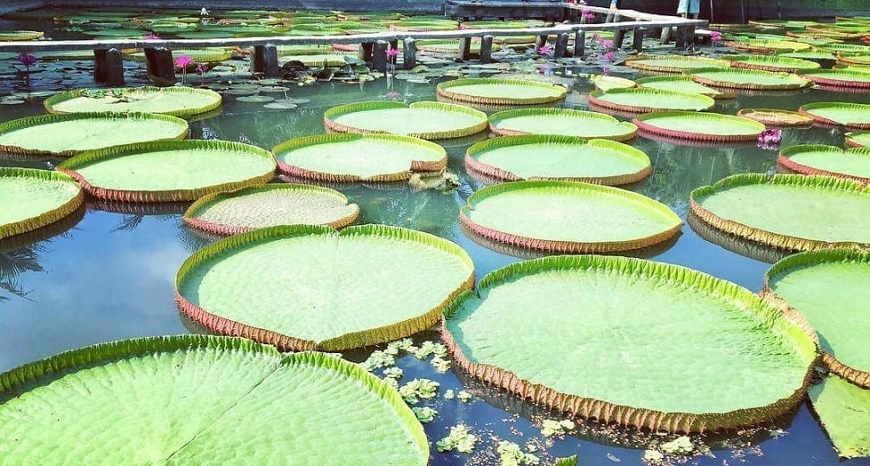 Phuoc-Kien