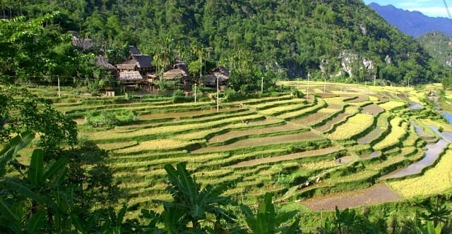 pu-luong