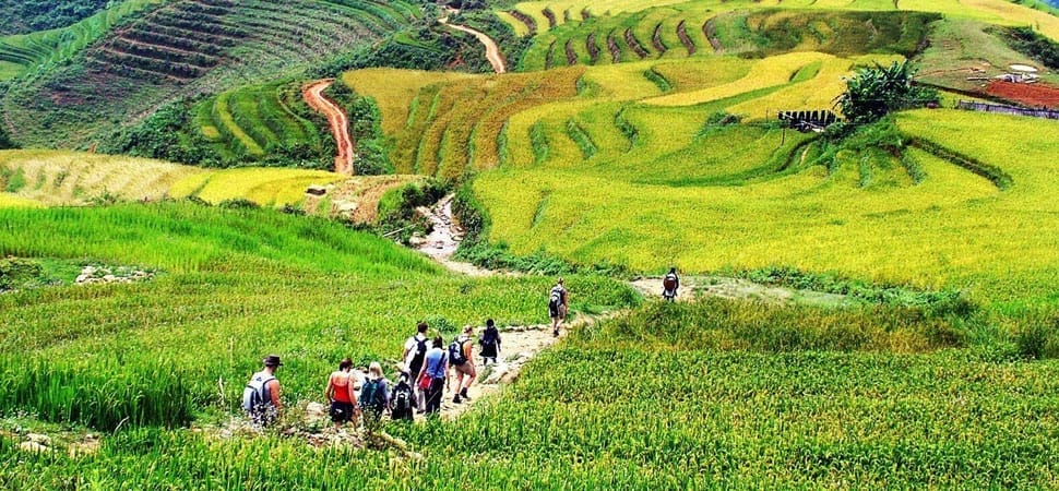 Rando-Sapa