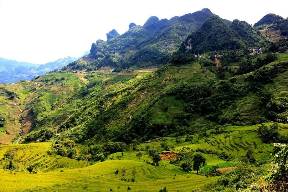 Tung_Chung_Pho